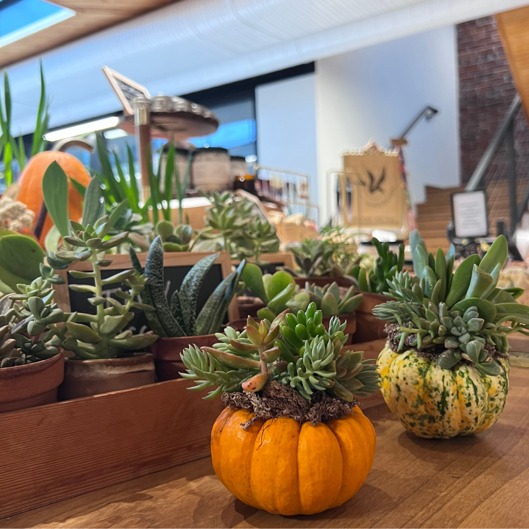 October Pop Up Market – Stoble Coffee Roasters